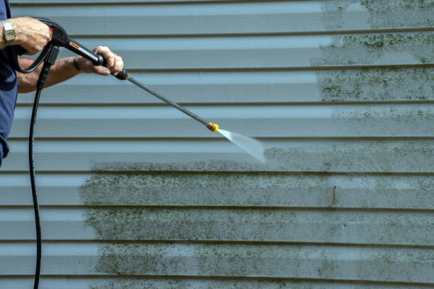 Best Solar Panel Cleaning  in Starkville, MS