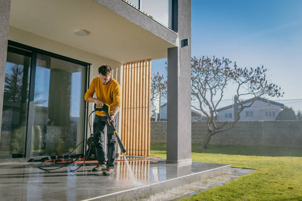 Best Pre-Holiday Cleaning  in Starkville, MS