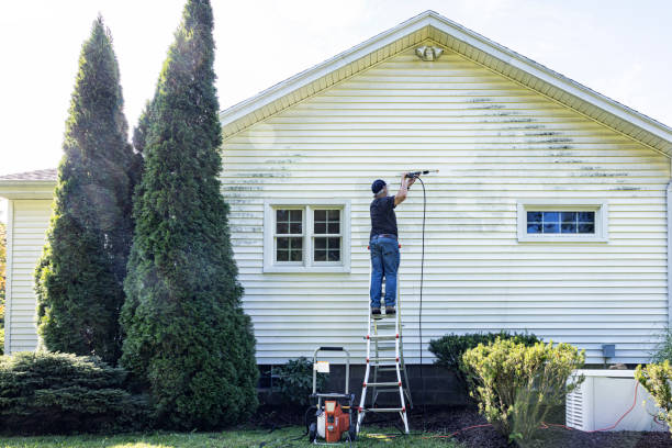 Best Driveway Pressure Washing  in Starkville, MS